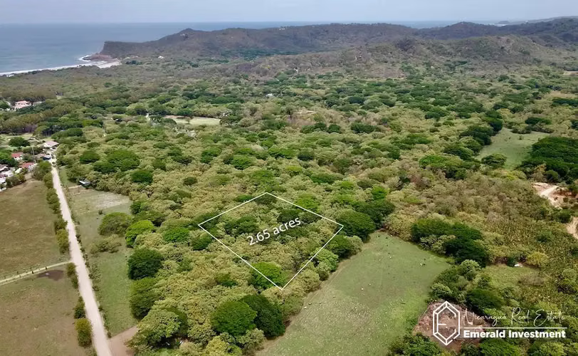 2.65-Acre Property Near Iguana Hacienda - 124; Woodland Parcel