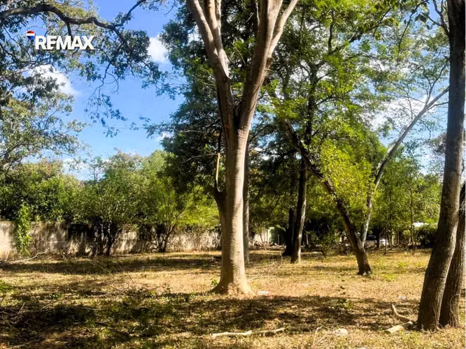 Terreno para Desarrollo en Carretera a Masaya - Imagen 4