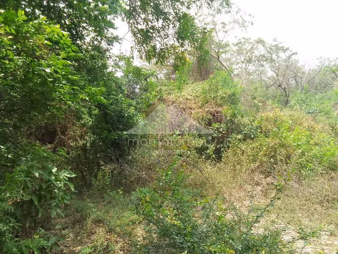 Terreno en Venta Pochocuape, Managua - Imagen 4