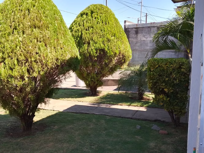  SERVICIO DE JARDINERÍA  Limpieza y mantenimiento de jardines.  Trabajo responsable y de calidad.  Llámanos o es