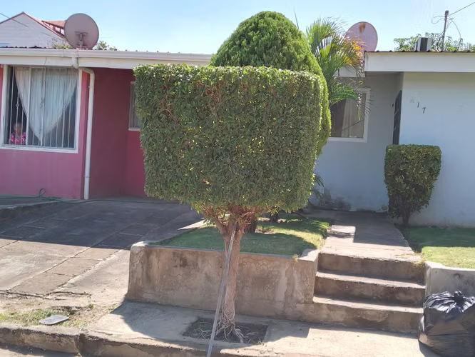  SERVICIO DE JARDINERÍA  Limpieza y mantenimiento de jardines.  Trabajo responsable y de calidad.  Llámanos o es