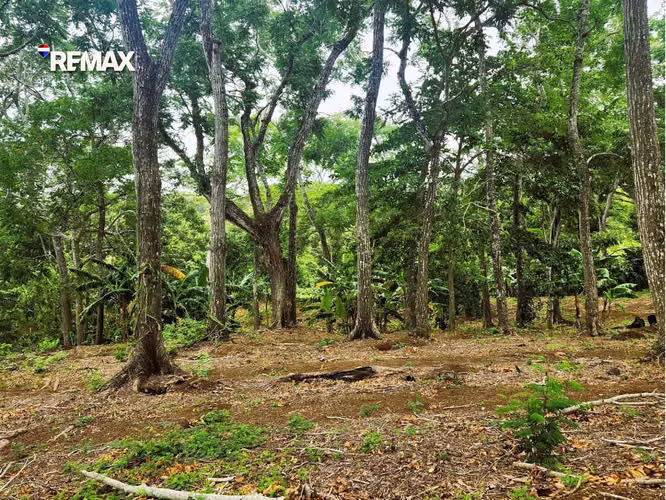 Finca Productiva en El Aguacate - Imagen 15