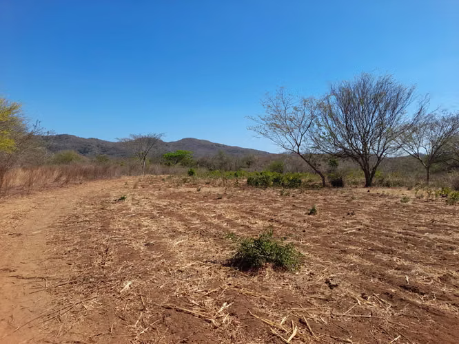 SE VENDE  FINCA DE 6OO MANZANAS UBICADA EN DIRIAMBA CARAZO 