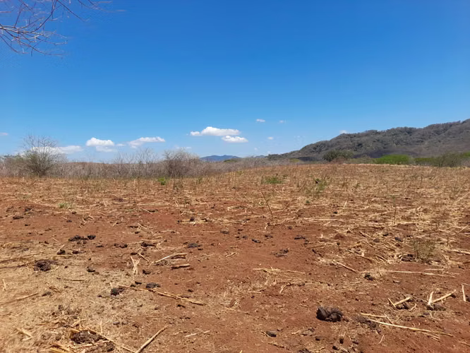SE VENDE  FINCA DE 6OO MANZANAS UBICADA EN DIRIAMBA CARAZO 