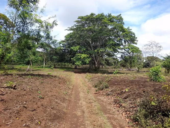 SE VENDE FINCA CAFETALERA DE 66 MANZANAS UBICADA EN DIRIAMBA CARAZO.  - Imagen 3