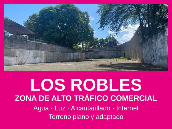 Lote en Los Robles, Managua · Zona de alto tráfico comercial · 600 m² - Imagen 1