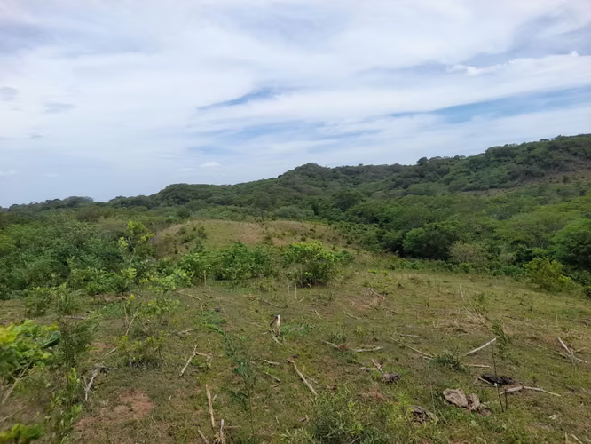 SE VENDE FINCA DE 170 MANZANAS UBICADA EN DIRIAMBA CARAZO.  - Imagen 7