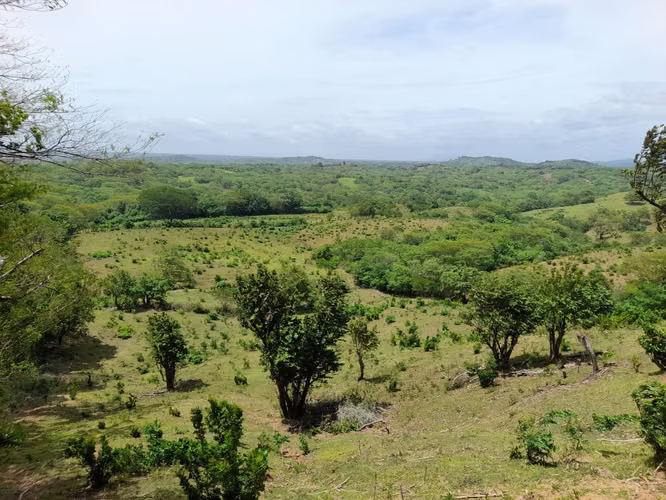 SE VENDE FINCA DE 170 MANZANAS UBICADA EN DIRIAMBA CARAZO.  - Imagen 13