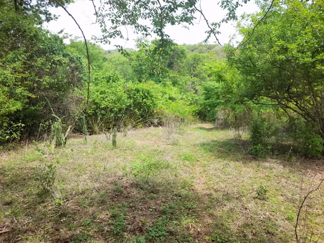 SE VENDE FINCA DE 170 MANZANAS UBICADA EN DIRIAMBA CARAZO.  - Imagen 6