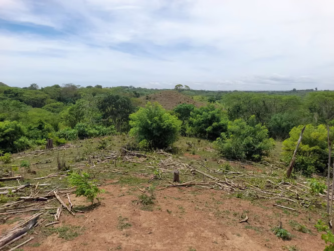 SE VENDE FINCA DE 170 MANZANAS UBICADA EN DIRIAMBA CARAZO.  - Imagen 18