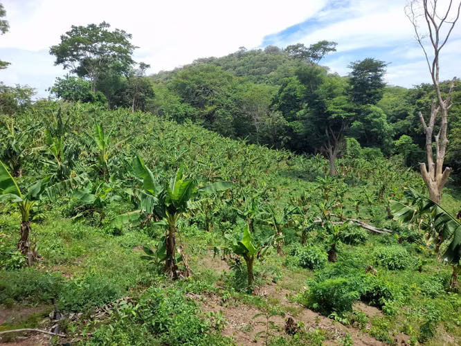 SE VENDE FINCA DE 170 MANZANAS UBICADA EN DIRIAMBA CARAZO.  - Imagen 3