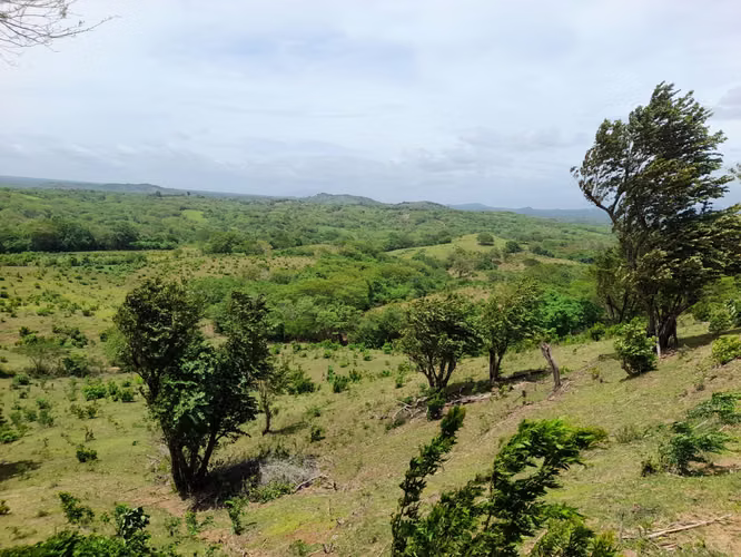 SE VENDE FINCA DE 170 MANZANAS UBICADA EN DIRIAMBA CARAZO.  - Imagen 10