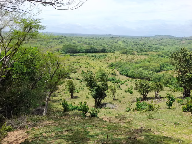 SE VENDE FINCA DE 170 MANZANAS UBICADA EN DIRIAMBA CARAZO.  - Imagen 11