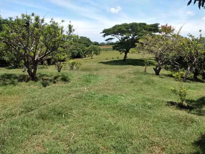 Lot at Apoyo rim with stunning view - Imagen 3