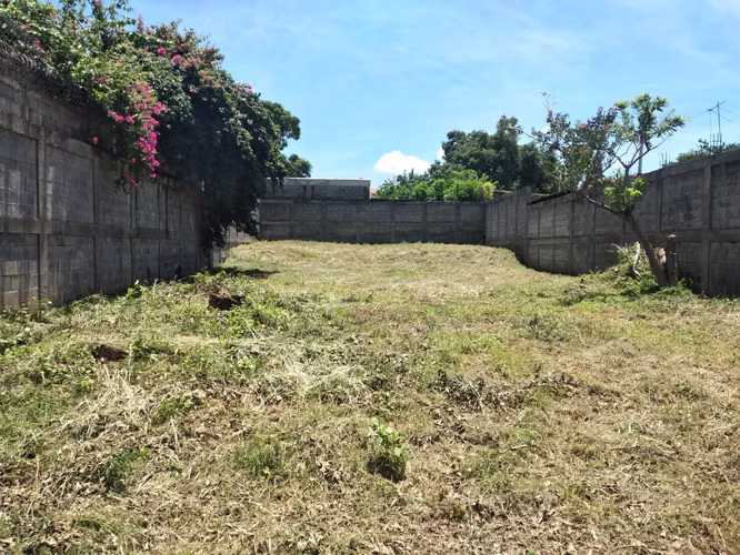 Lot in the city - Imagen 2