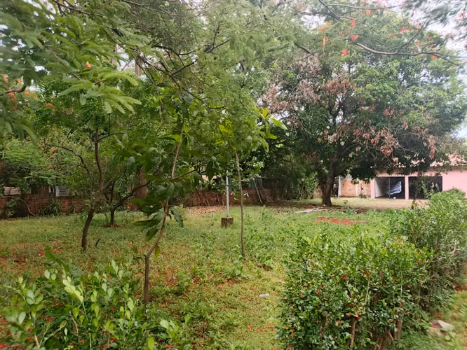 CARRETERA SUR KM 10.5 - SE VENDE PROPIEDAD COMERCIAL A ORILLA DE CARRETERA  - Imagen 6