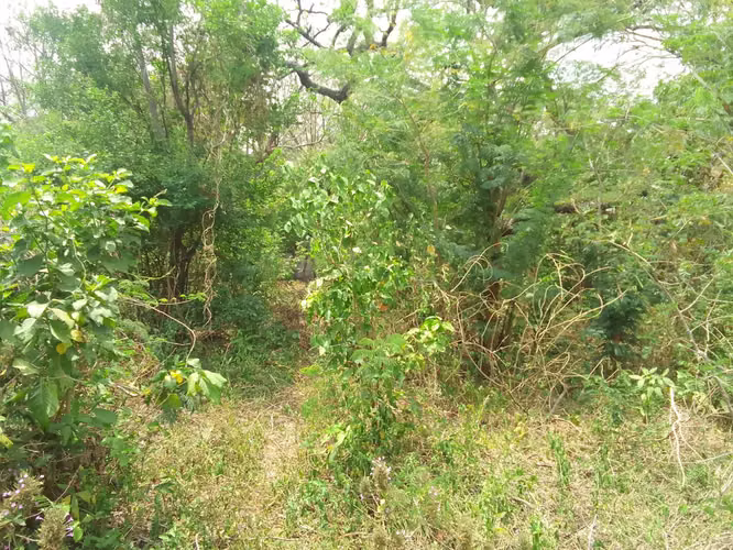 Venta de Terreno en Pochocuape  - Imagen 19