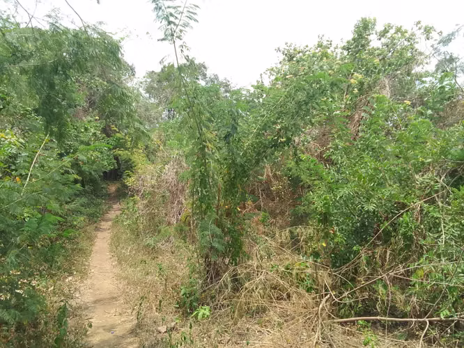 Venta de Terreno en Pochocuape  - Imagen 12
