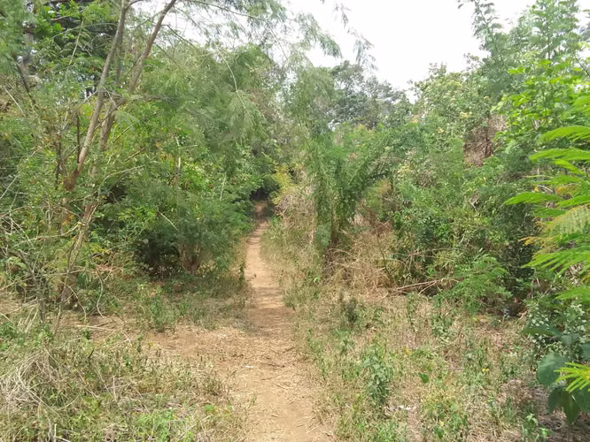 Venta de Terreno en Pochocuape  - Imagen 5