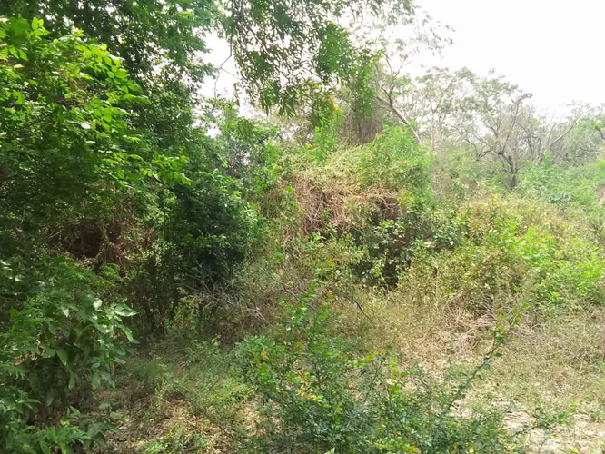 Venta de Terreno en Pochocuape  - Imagen 19