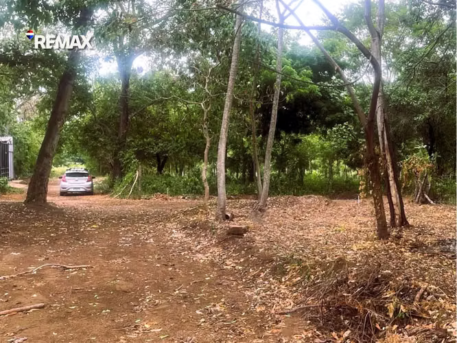 Lote Residencial en Carretera a Masaya - Imagen 5
