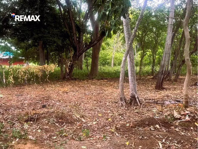 Lote Residencial en Carretera a Masaya - Imagen 7