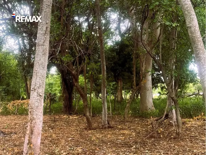 Lote Residencial en Carretera a Masaya - Imagen 4