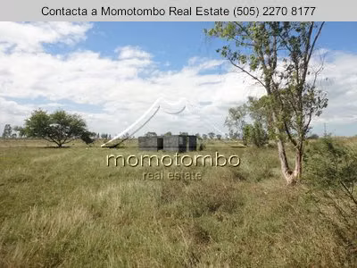 Venta de Terreno en El Timal , Tipitapa  - Imagen 2