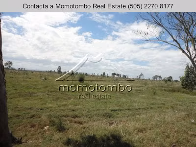Venta de Terreno en El Timal , Tipitapa  - Imagen 5