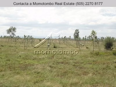 Venta de Terreno en El Timal , Tipitapa  - Imagen 4