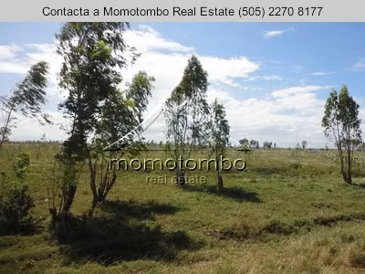 Venta de Terreno en El Timal , Tipitapa  - Imagen 3