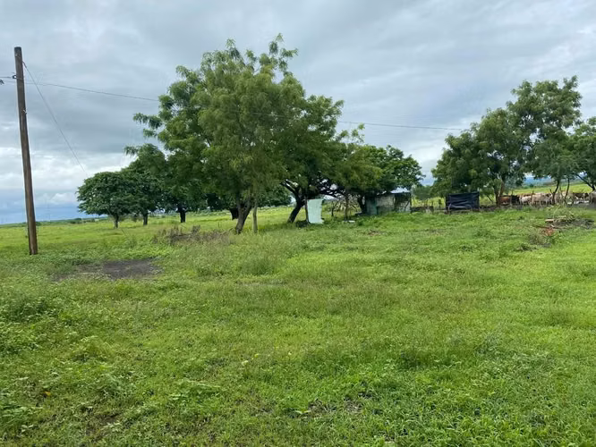 Venta de Finca en Tipitapa  - Imagen 3