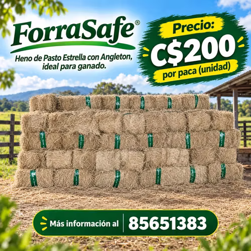 PACAS HENO