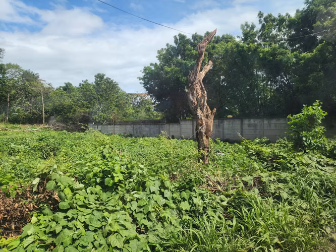  LOTES EN VENTA – EXCELENTE UBICACIÓN EN MANAGUA - Imagen 9