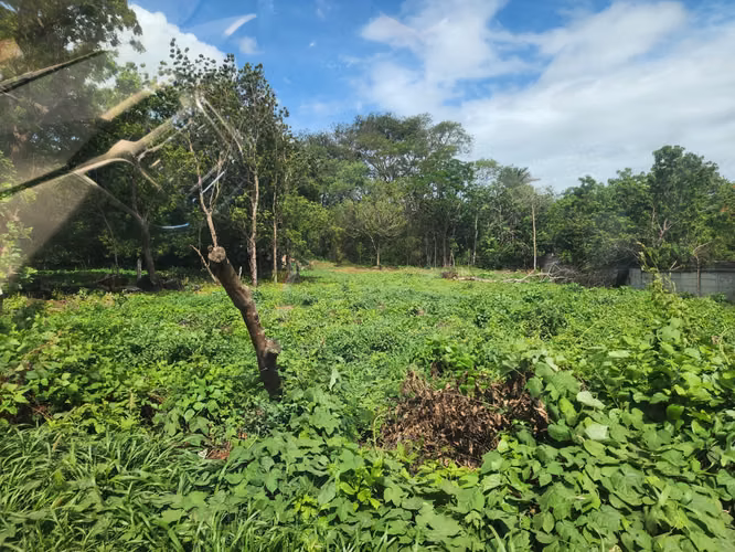  LOTES EN VENTA – EXCELENTE UBICACIÓN EN MANAGUA - Imagen 6