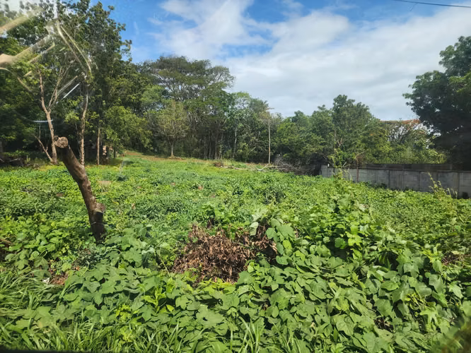  LOTES EN VENTA – EXCELENTE UBICACIÓN EN MANAGUA - Imagen 8