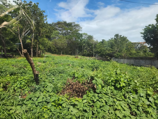  LOTES EN VENTA – EXCELENTE UBICACIÓN EN MANAGUA - Imagen 7