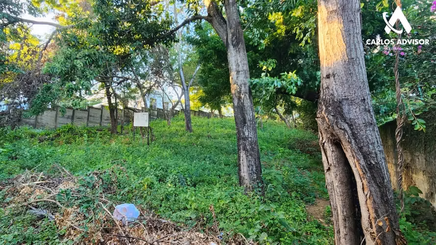 Terreno para inversión en Santo Domingo - Imagen 2
