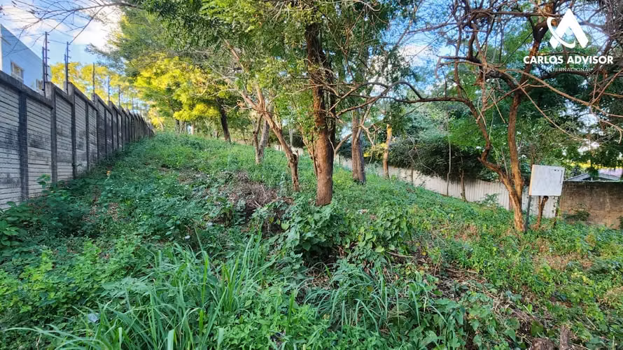 Terreno para inversión en Santo Domingo - Imagen 4