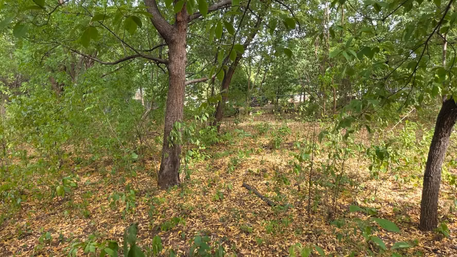  ¡Espectacular terreno de 2,500 varas en Km 49, Comarca California, Villa El Carmen!