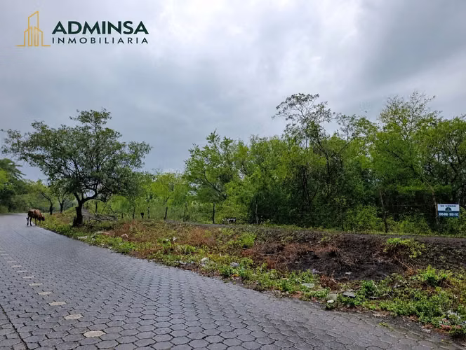 FARM FOR SALE - CHIQUILISTAGUA