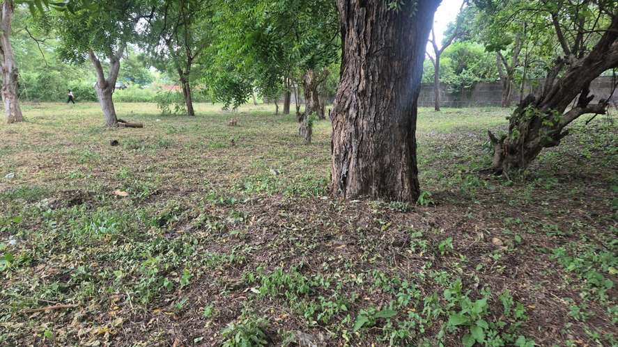 Lote en Venta en Km 13 C Vieja León