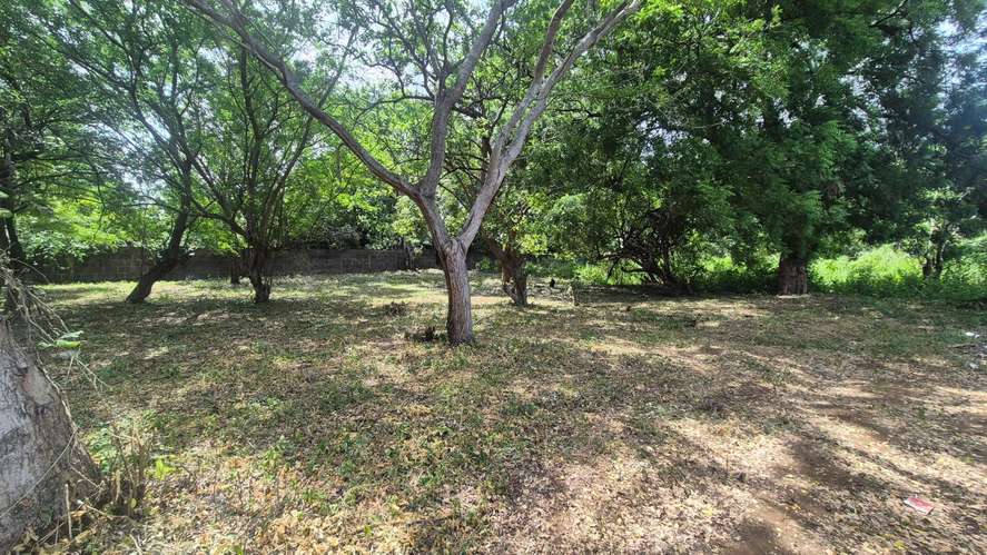 Lote en Venta en Km 13 C Vieja León