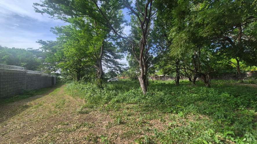 Lote en Venta en Km 13 C Vieja León