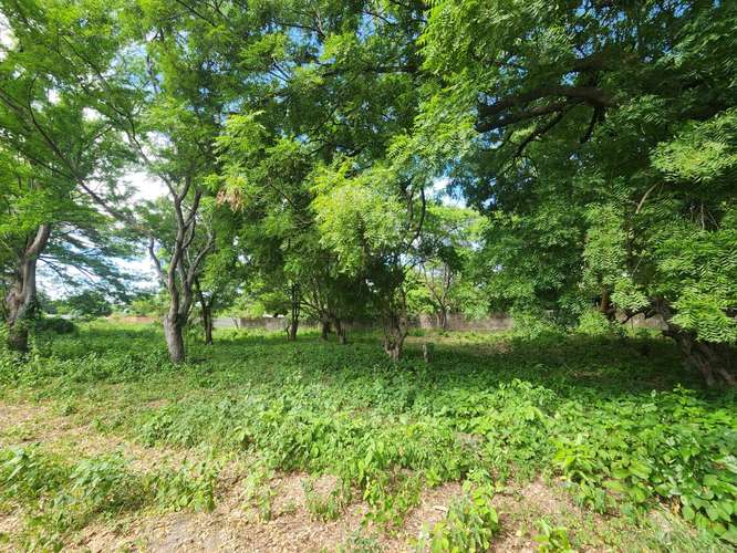 Lote en Venta en Km 13 C Vieja León