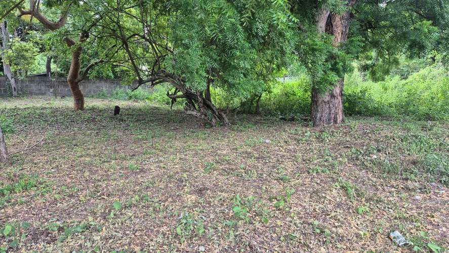 Lote en Venta en Km 13 C Vieja León