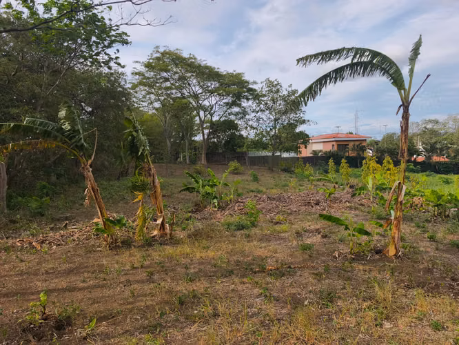 Vendo Terreno en Carretera a Masaya  - Imagen 9