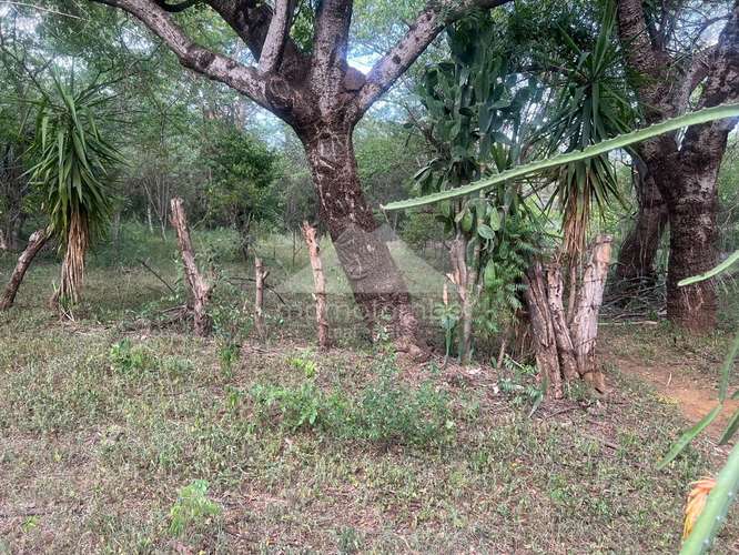 Terreno en Venta Veracruz, Managua