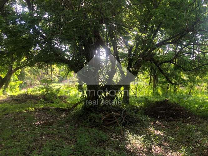 Terreno en Venta Veracruz, Managua
