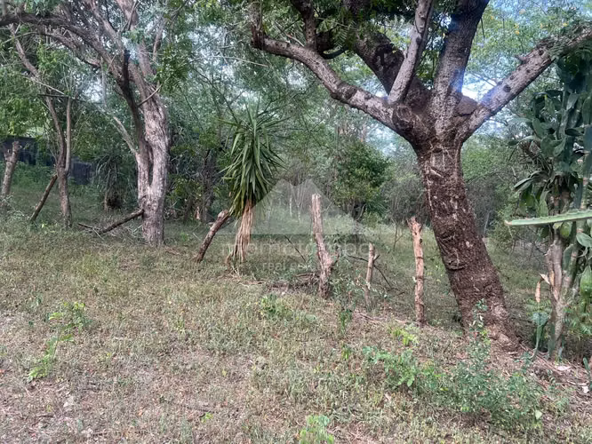 Terreno en Venta Veracruz, Managua